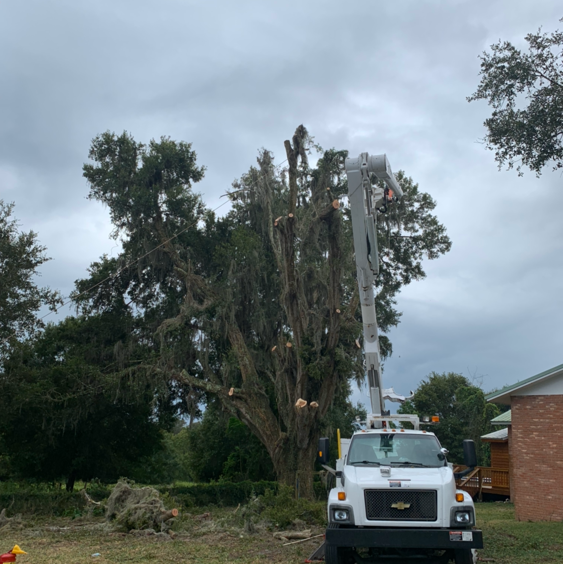 Bucket truck pruning tree canopy over a residential driveway