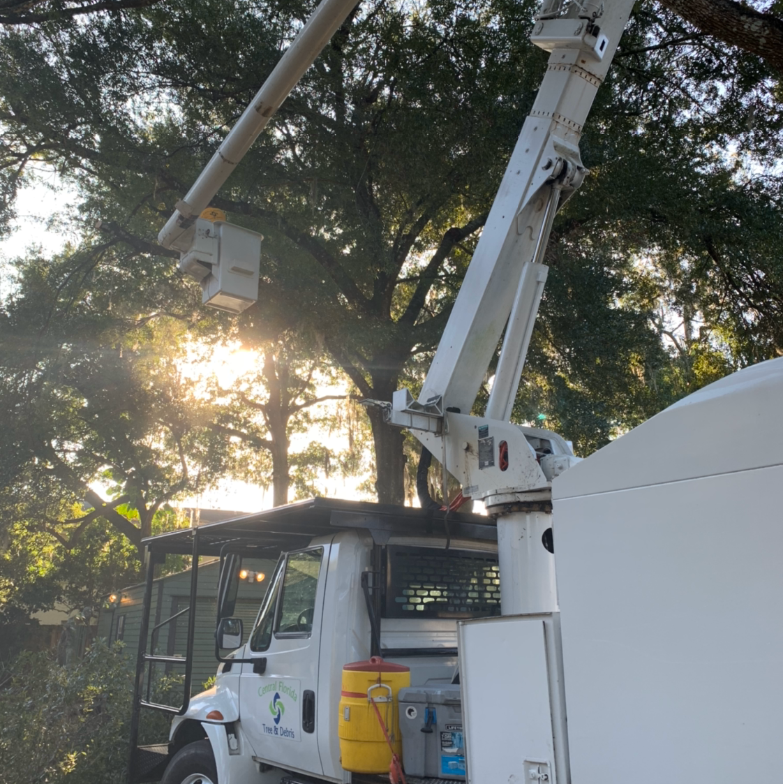 Bucket truck boom with sunrise through trees