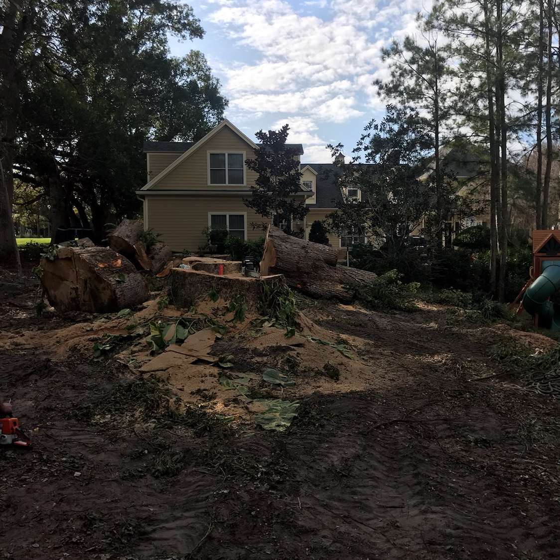 Before and after view of a hazardous oak removal beside a home
