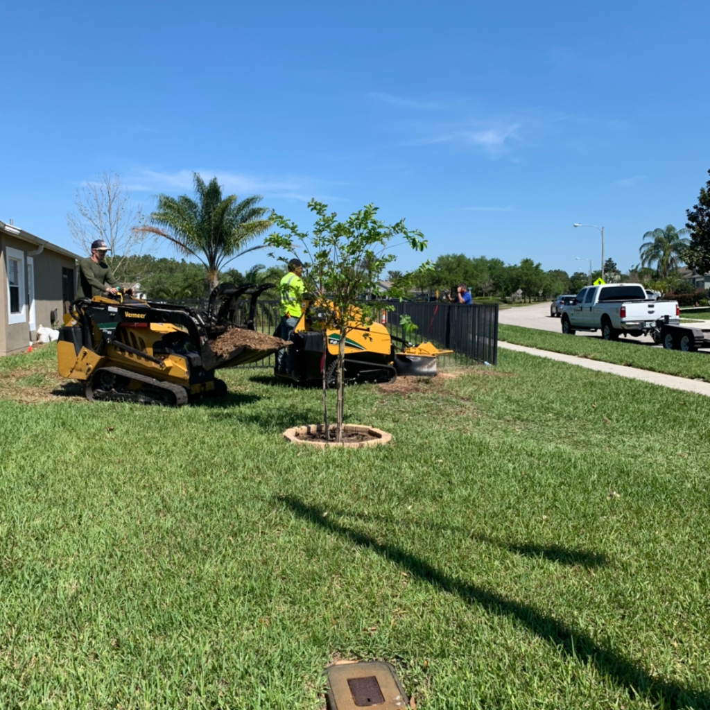 Mini skid steer and stump grinder restoring a residential yard