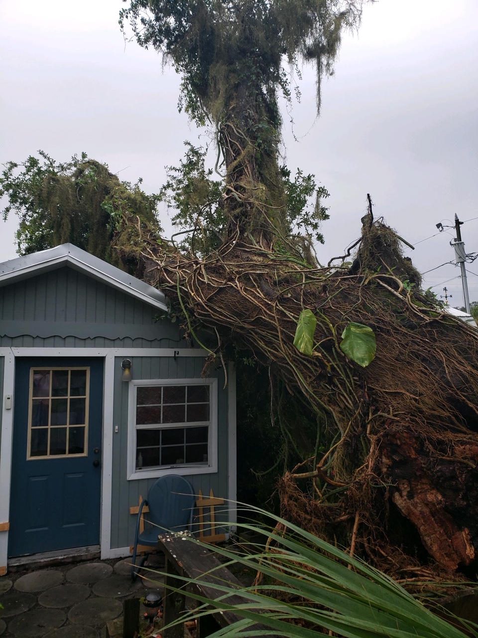 Emergency insurance services field photo