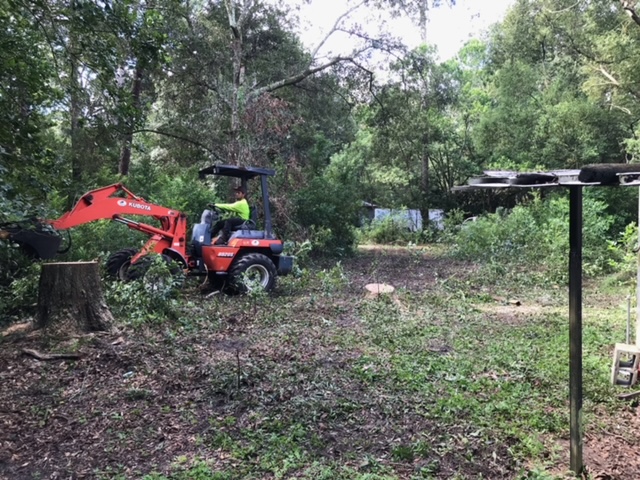 Kubota loader clearing brush at wooded lot