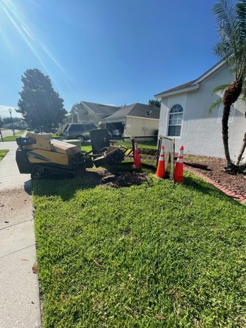 Front yard stump grinding with safety cones