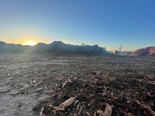 Sunrise over mulch piles at debris yard