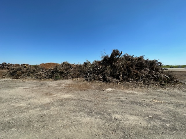 Debris windrow at staging site