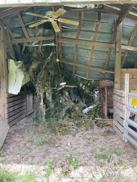 Collapsed stall roof with debris after storm