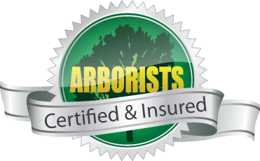 Certified and Insured