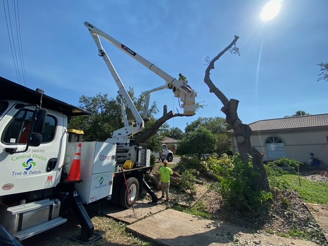 Bucket truck pruning large branches at residence