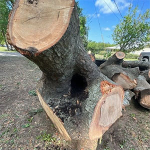 CFTD grapple truck hauling storm debris