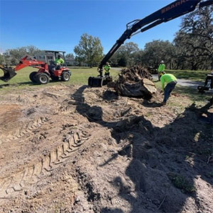 Crew loading cut limbs into a trailer after pruning