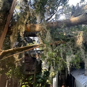 Storm debris neatly stacked for pickup