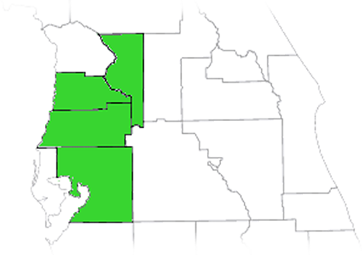 Map showing Central Florida Tree and Debris service areas across Hillsborough, Pasco, Hernando, and Sumter counties