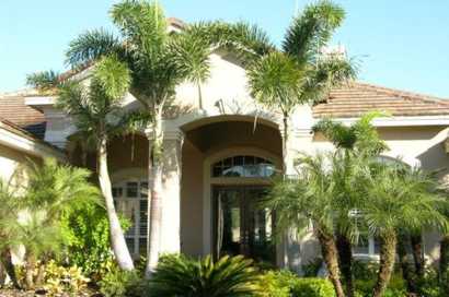 Root Pruning Before Driveway Damage Spreads