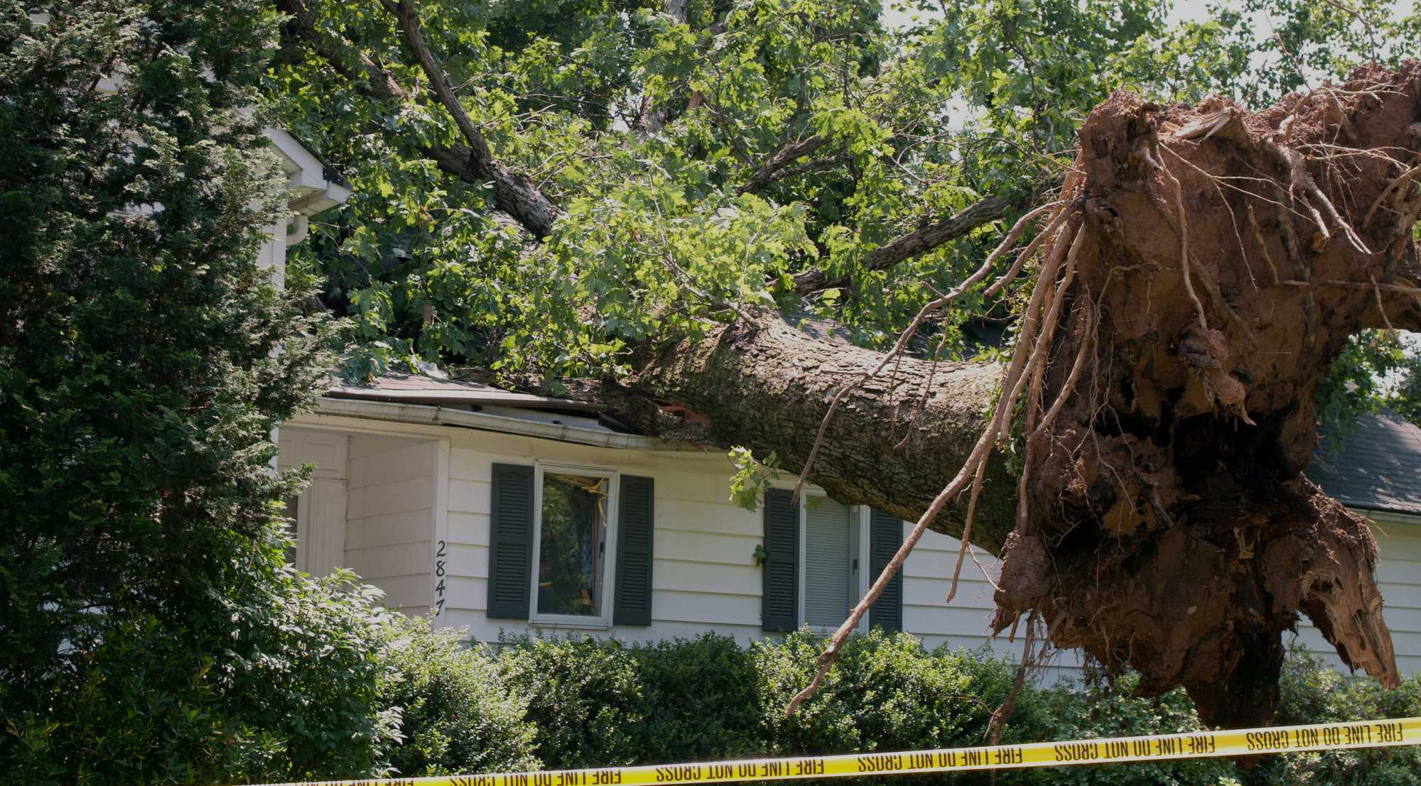 Storm-damaged tree leaning on a home with caution tape